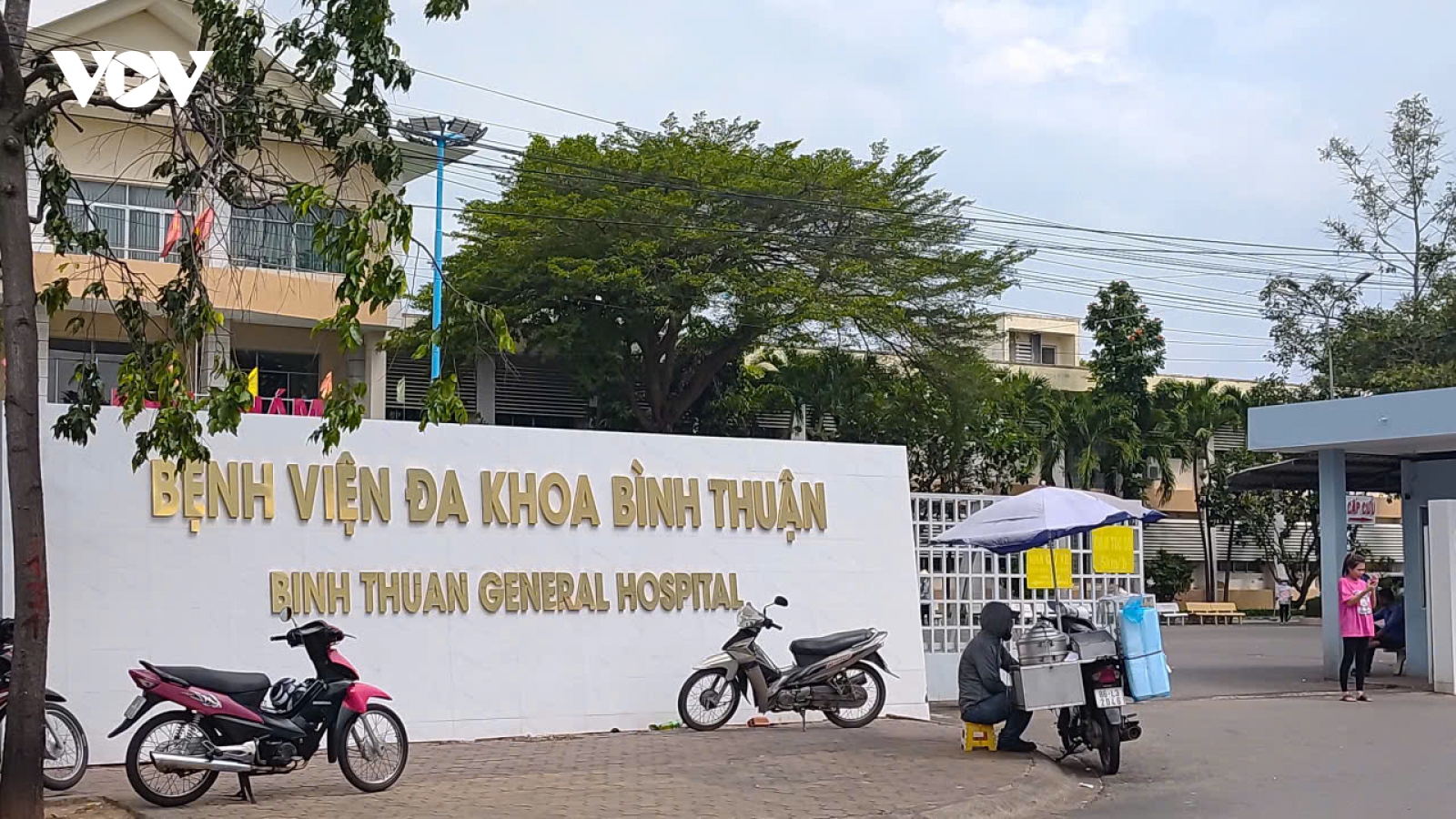 Chín người trong gia đình bị ngộ độc cá nóc, một người hôn mê