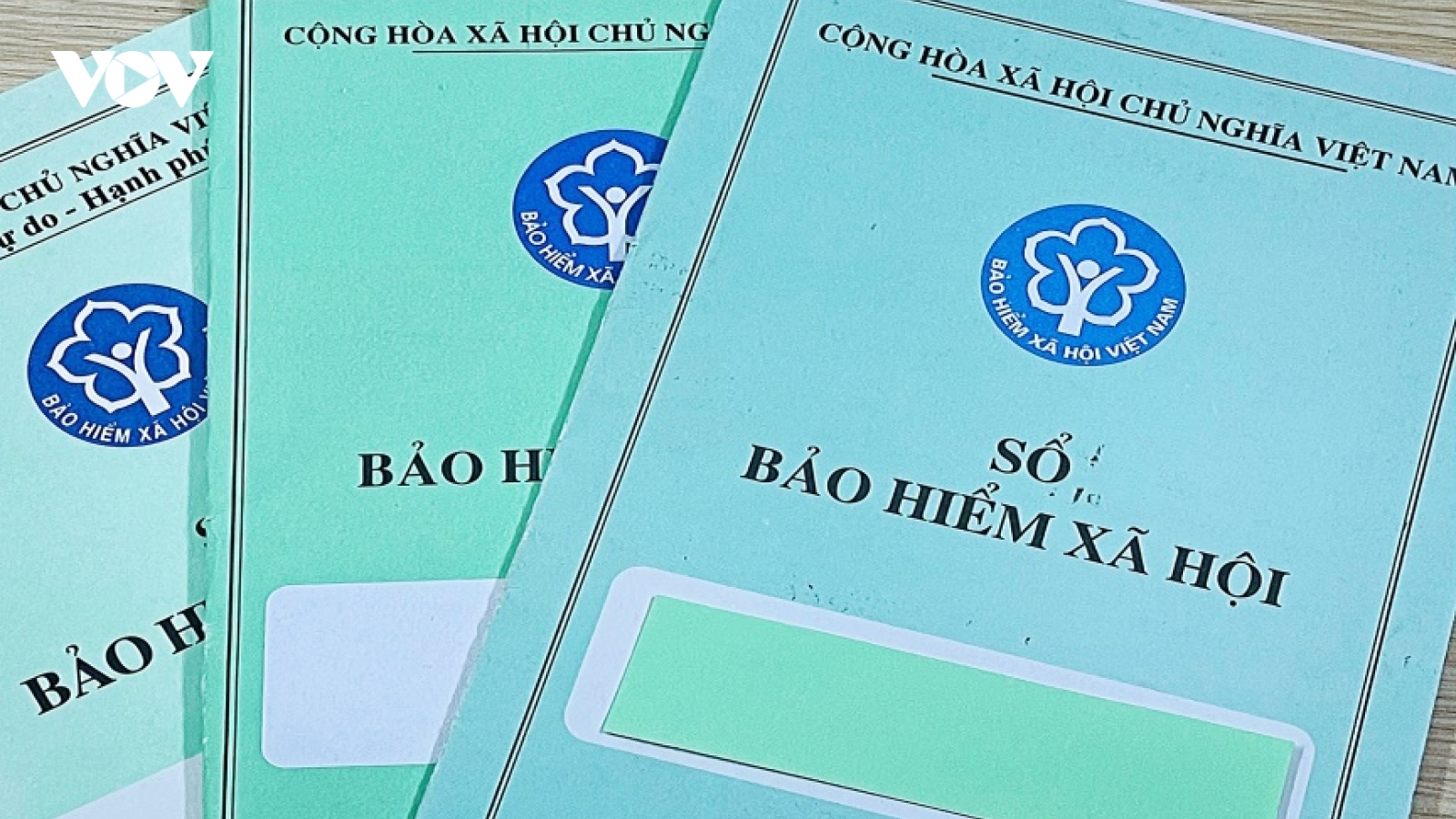 An Giang chuyển cơ quan điều tra vụ sai phạm chi trả trợ cấp xã hội