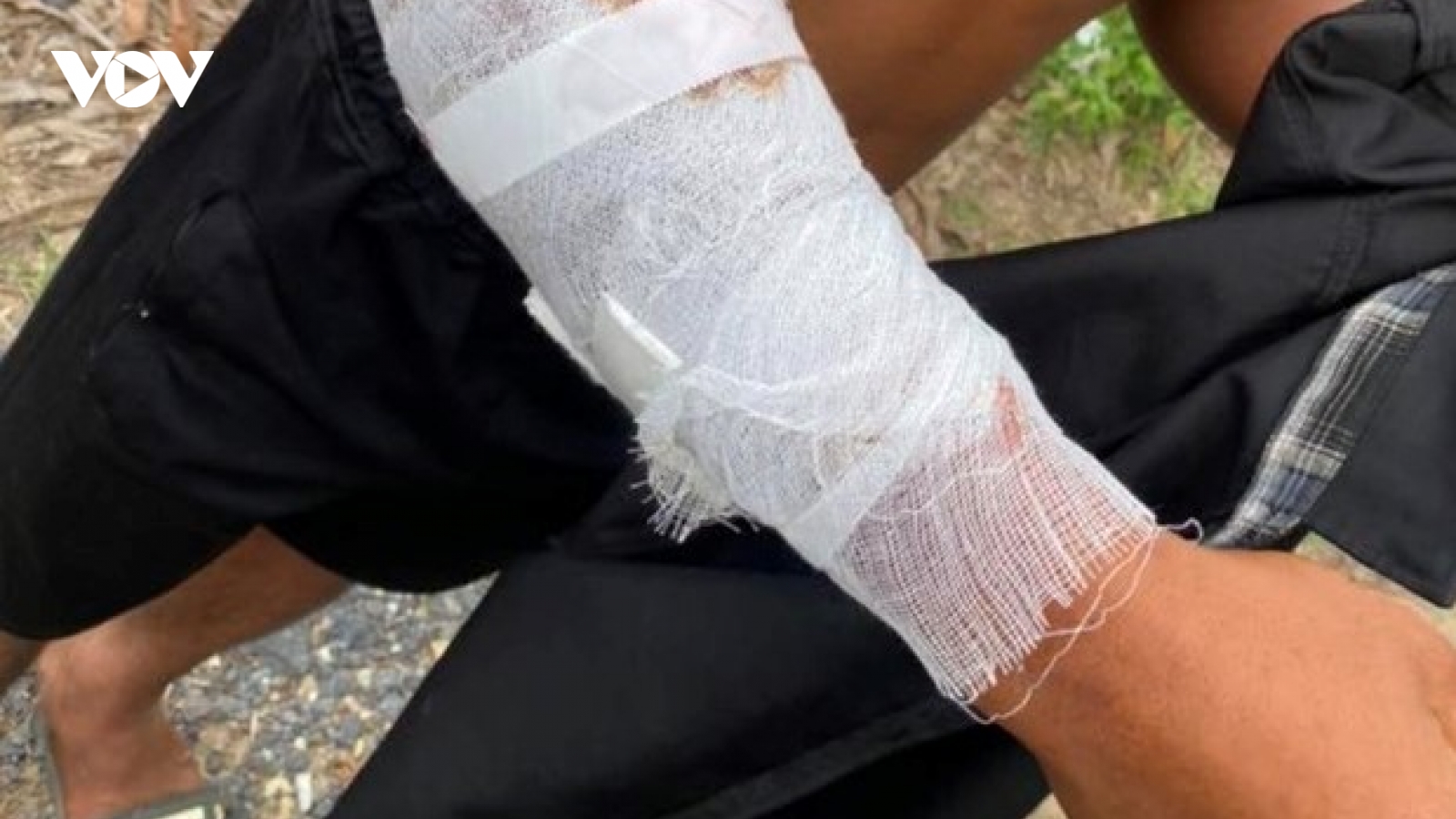 Truy bắt cá sấu tấn công người trên sông Chò (Khánh Hòa)