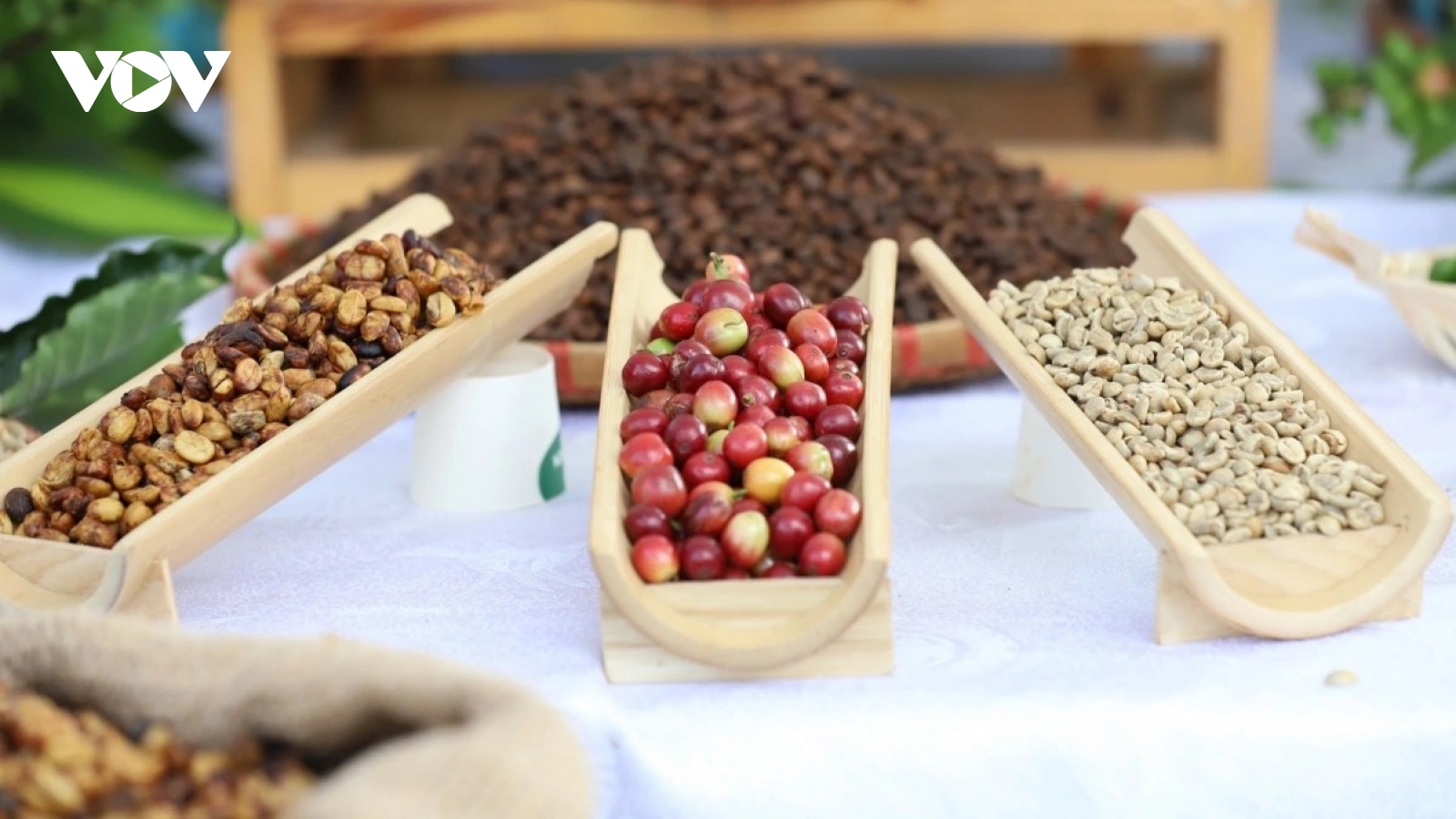 Giá cà phê hôm nay 29/3: Giá cà phê trong nước giảm 200 đồng/kg