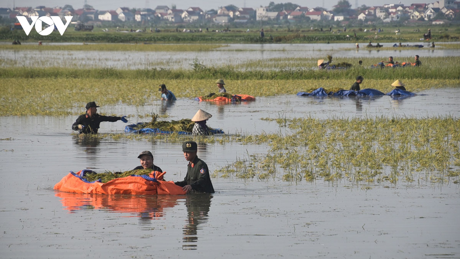 Mỗi hộ phải di dời khẩn cấp do nguy cơ sạt lở, lũ, lụt được hỗ trợ 30 triệu đồng