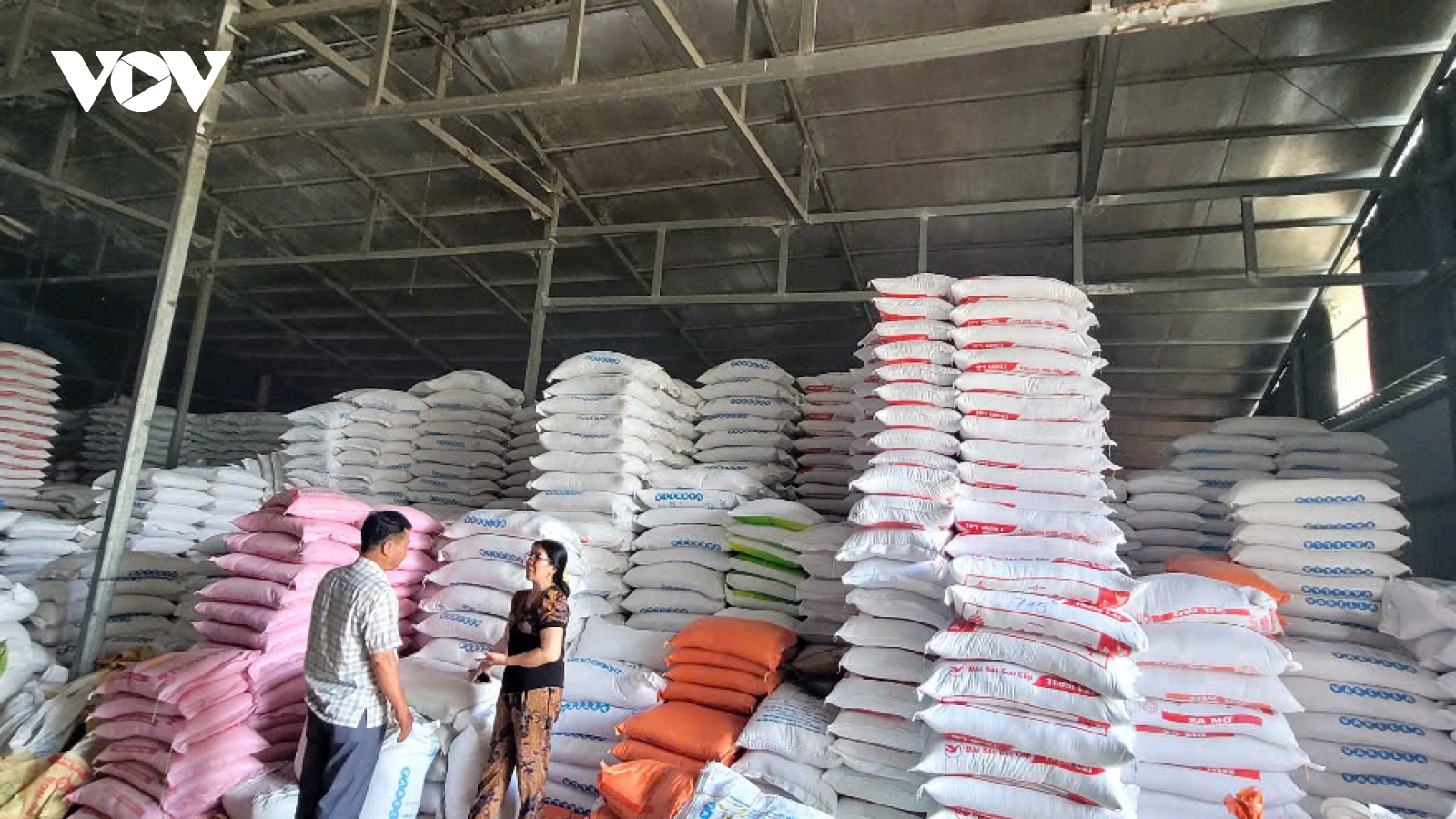 Thị trường tiêu thụ chậm, doanh nghiệp kinh doanh lúa gạo tại Đồng Tháp gặp khó