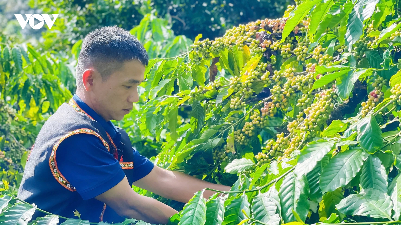 Đắk Lắk củng cố "đòn bẩy" cho nhiệm kỳ đột phá
