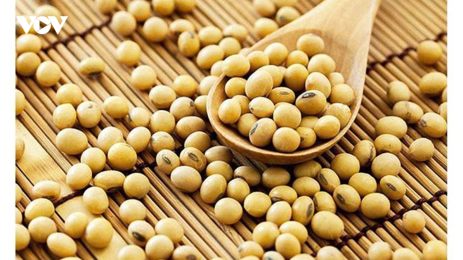 Đậu nành - nguồn dinh dưỡng vàng với 6 lợi ích ít ai ngờ