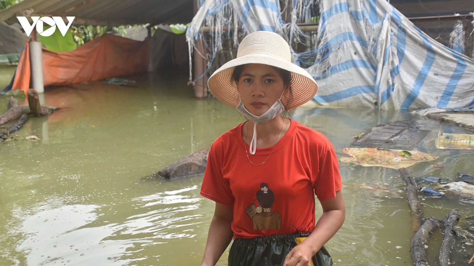 "Nước lũ lên nhanh, nhà thành ốc đảo, không cách nào cứu gà, thóc"