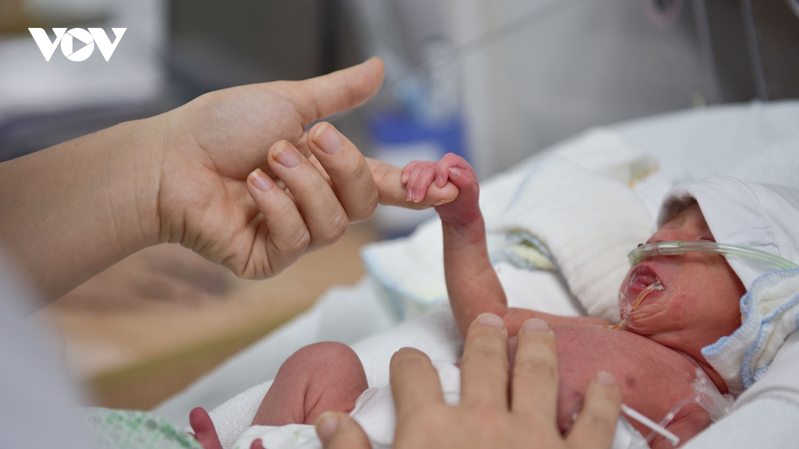 Nơi những em bé sinh non được chở che bởi vòng tay của hai người mẹ