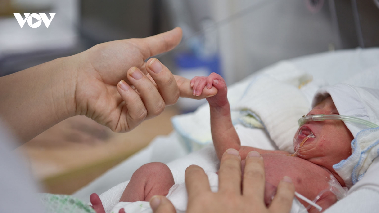 Nơi những em bé sinh non được chở che bởi vòng tay của hai người mẹ