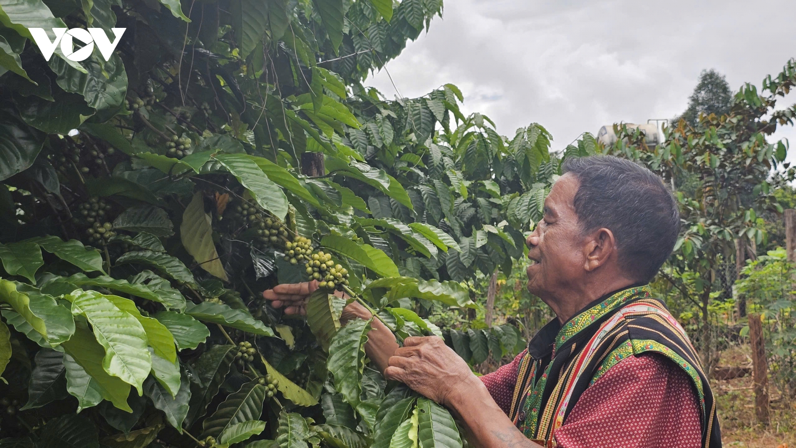 Rơ Châm Dik, già làng tiêu biểu ở biên giới Gia Lai