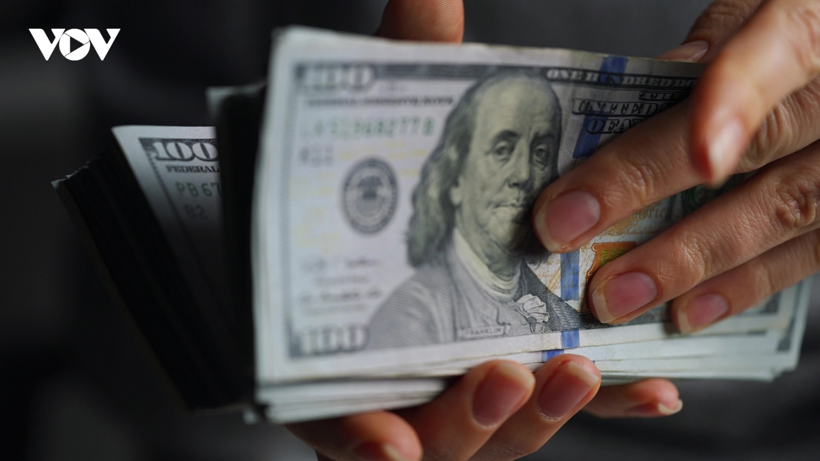 Tỷ giá USD hôm nay 16/10: Tỷ giá trung tâm hạ xuống còn 25.109 đồng/USD