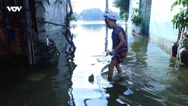 Hàng trăm hộ dân ở Ninh Bình cả tuần chật vật sống chung với ngập lụt