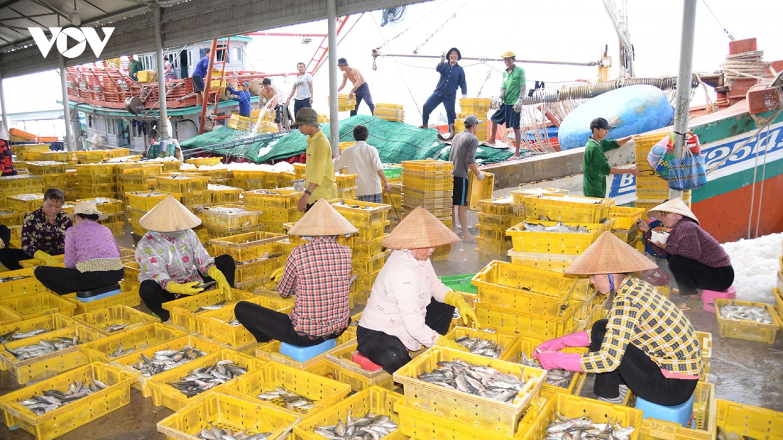 Đồng Tháp quyết liệt cùng cả nước sớm gỡ “thẻ vàng” IUU