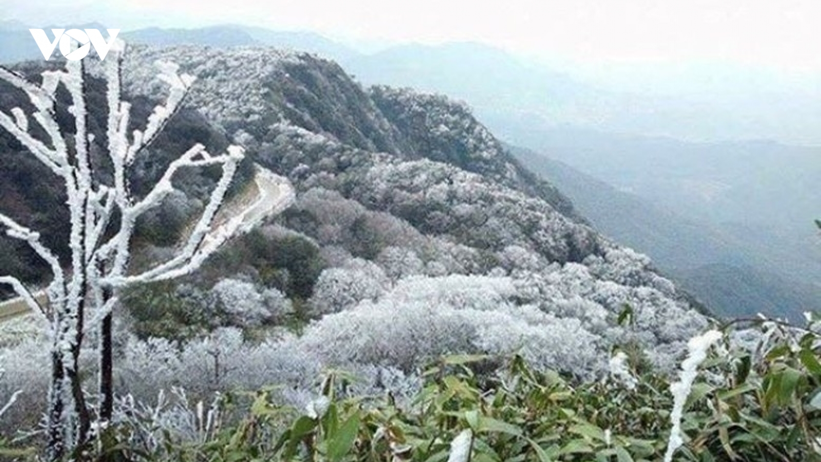 Không khí lạnh tăng cường, miền Trung mưa to gió mạnh do bão số 12