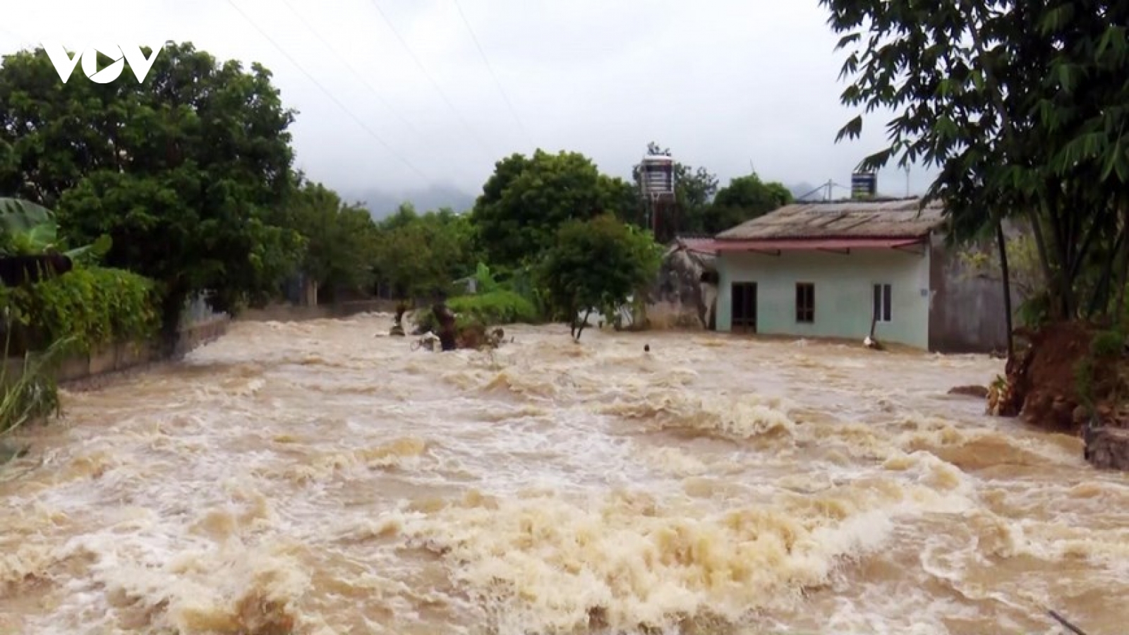 Tin lũ đặc biệt lớn trên sông Cầu, sông Thương