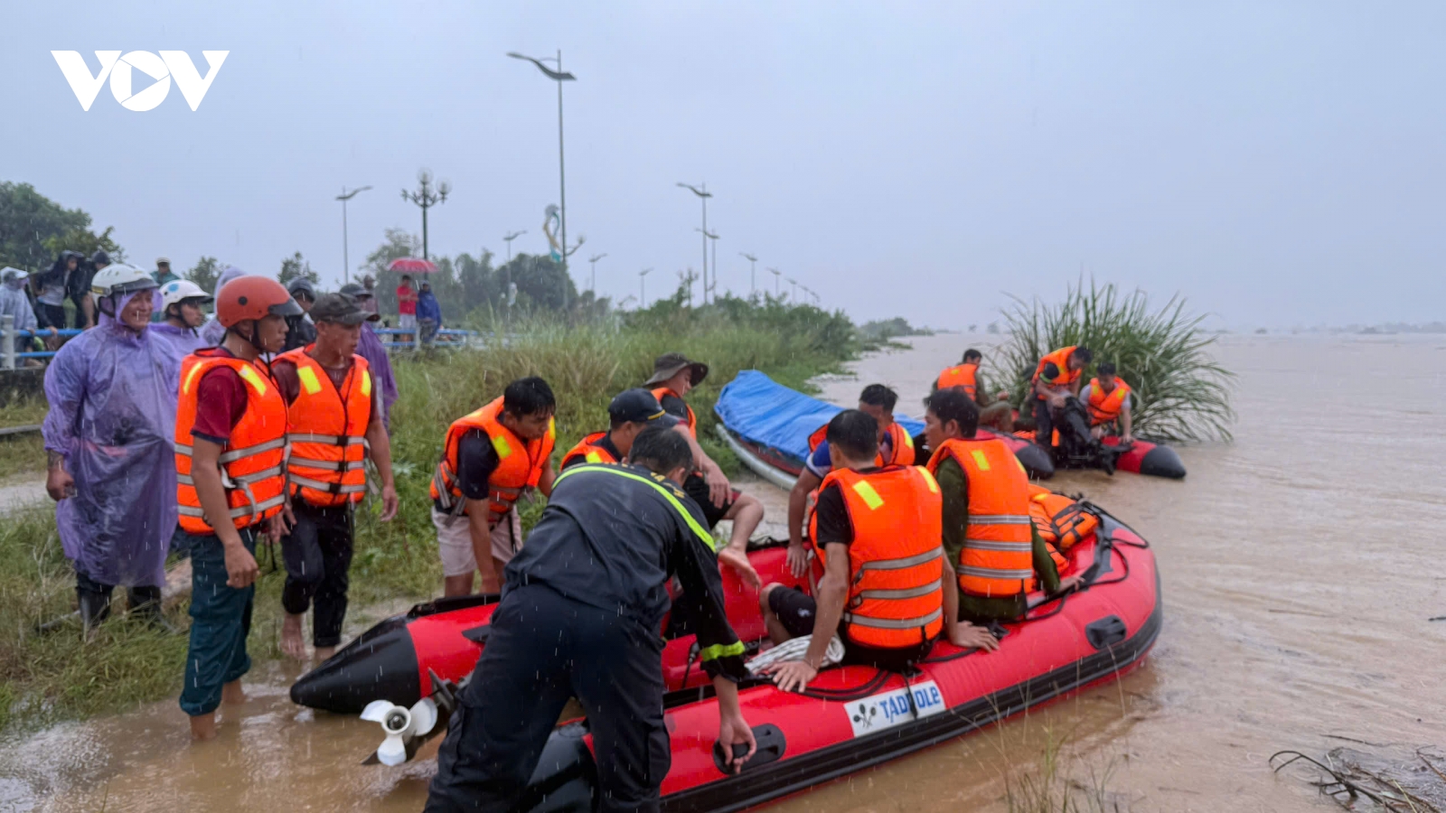 Mưa lũ cuốn trôi đàn bò giữa dòng Trà Khúc, lực lượng cứu hộ chỉ kịp cứu người