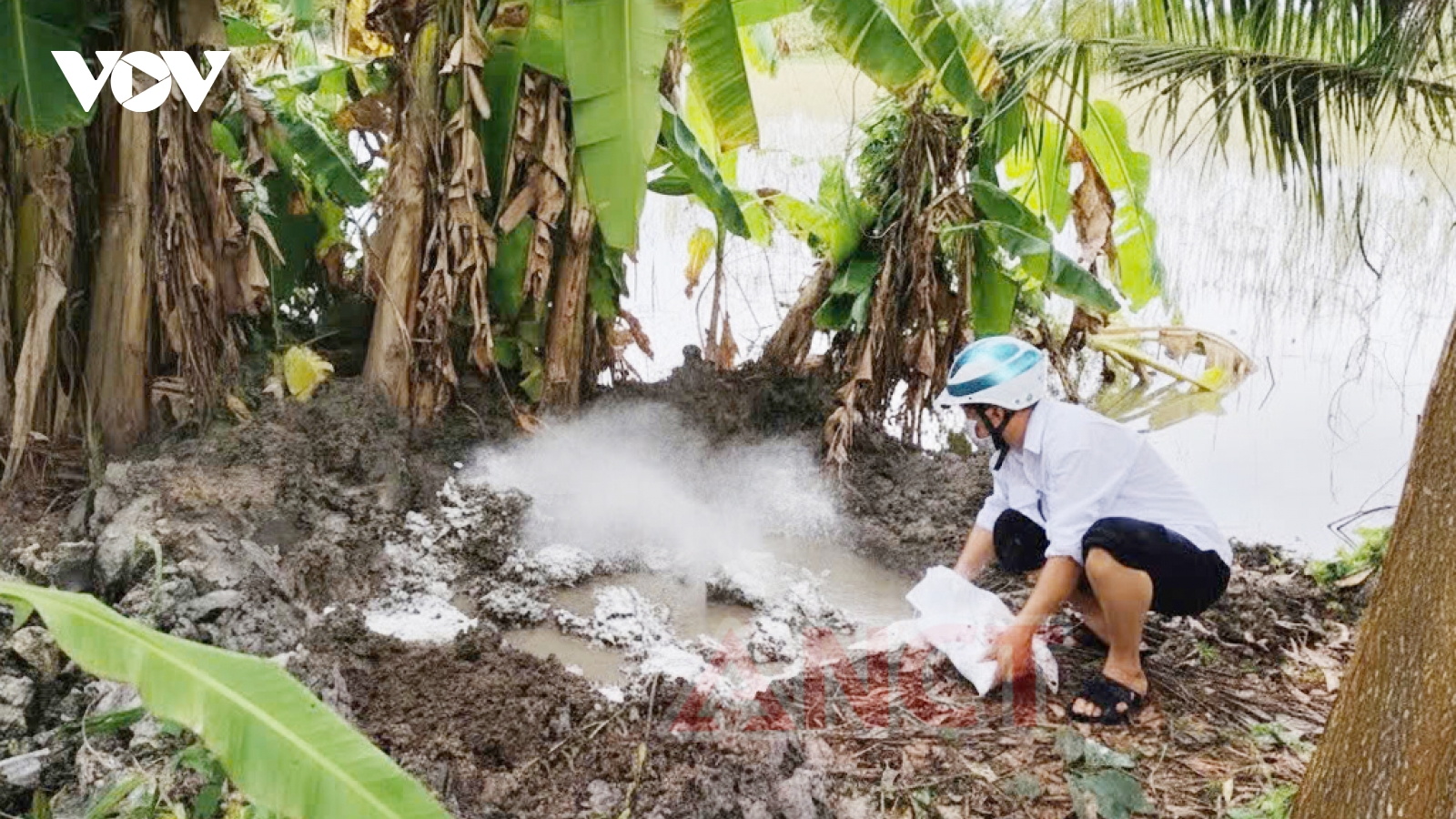 Phát hiện vụ giết mổ, mua bán thịt nhiễm dịch tả lợn châu Phi tại Cần Thơ