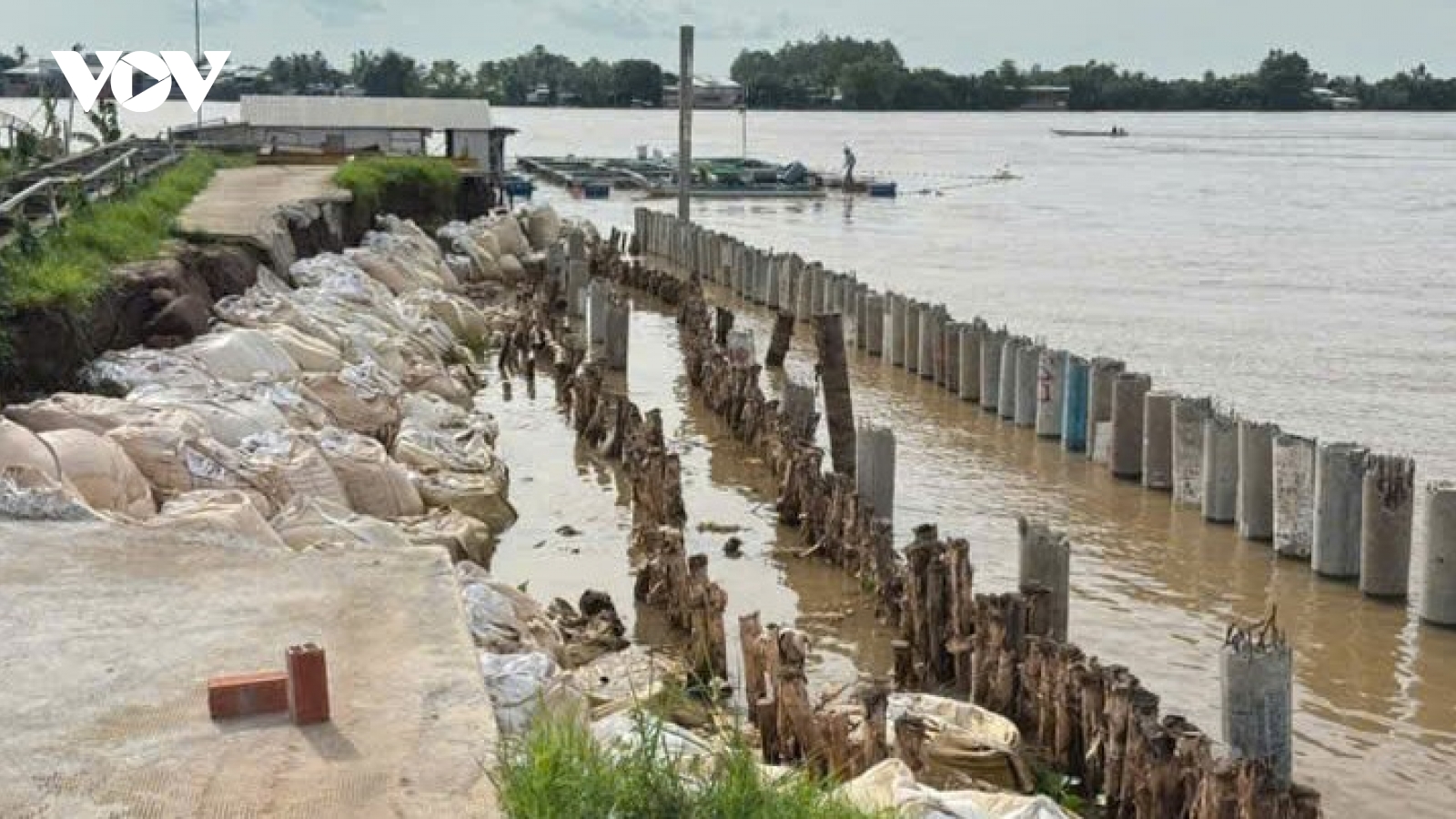 Sạt lở ở Đồng Tháp cuốn trôi 400 tấn cá tra, thiệt hại 12 tỷ đồng