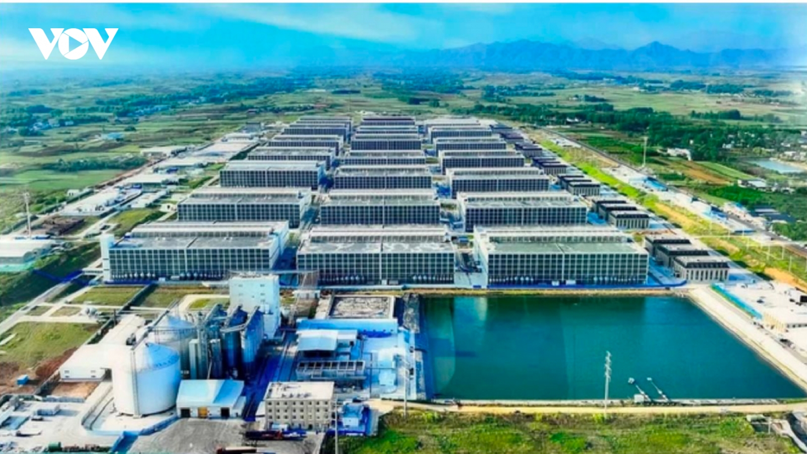 Ngành chăn nuôi cần "cú hích" từ ngân hàng giống đến chuỗi hiện đại