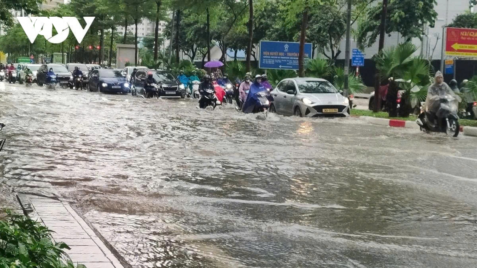 Thời tiết hôm nay 6/10: Bắc Bộ có mưa to
