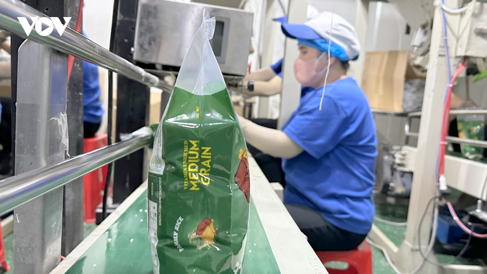 ĐBSCL có hơn 9.300 doanh nghiệp thành lập mới trong 6 tháng đầu năm