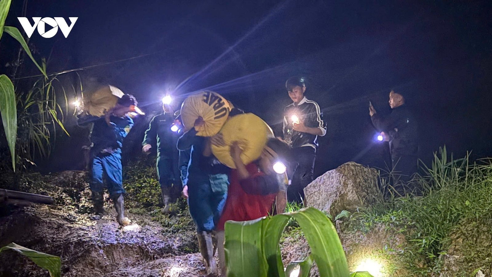 Đà Nẵng kêu gọi người đi làm rừng về nhà hoặc ra khỏi rừng, đề phòng mưa rất lớn