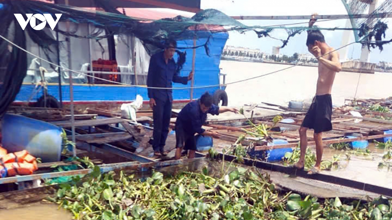 Cơ quan chức năng vào cuộc vụ sà lan làm chìm bè, thất thoát hơn 7 tấn cá