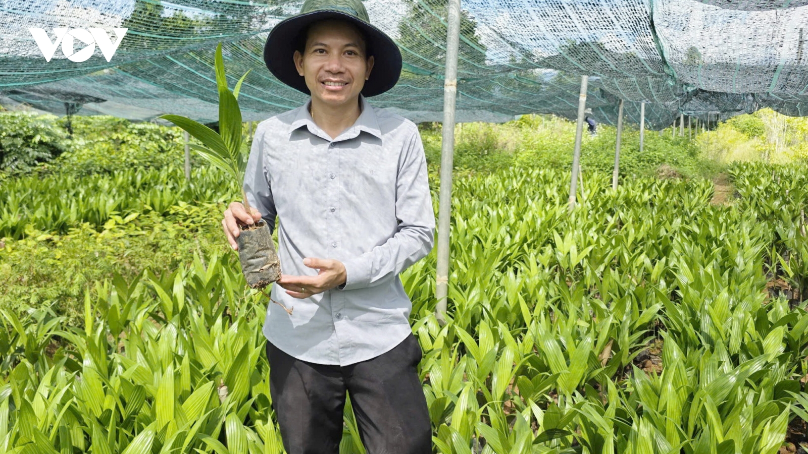 Nông dân Đà Nẵng vượt khó làm giàu