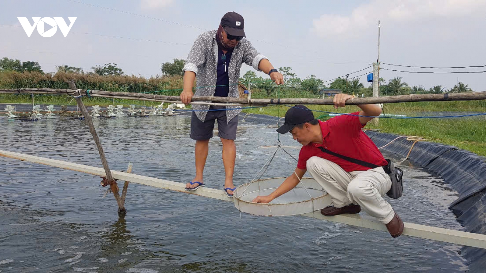 Triển lãm thủy sản quốc tế 2026 – “cú hích” đổi mới tư duy cho người nuôi