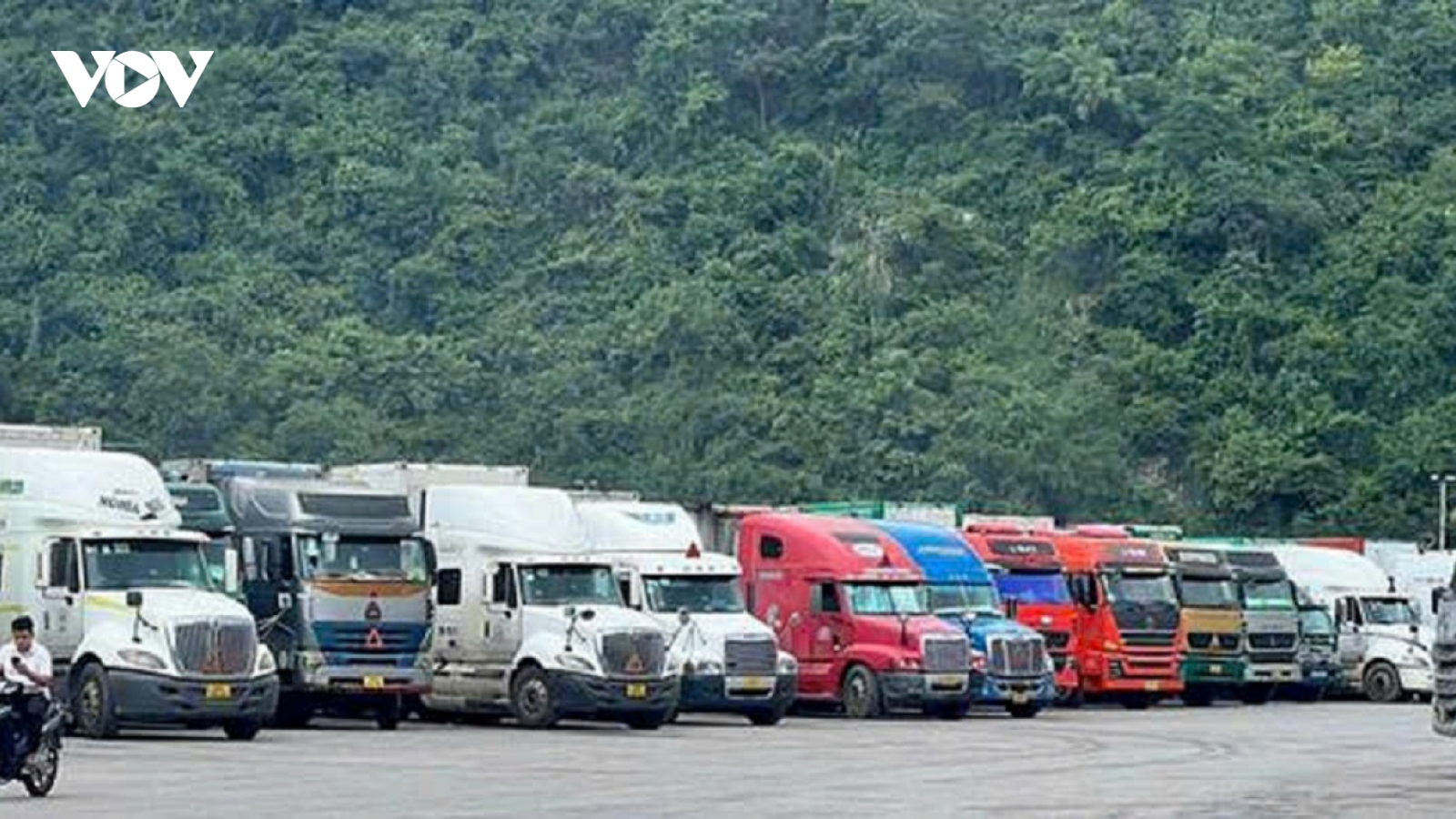 Hết kẹt tiêu chuẩn lại kẹt phòng xét nghiệm - sầu riêng bao giờ hết... kẹt?