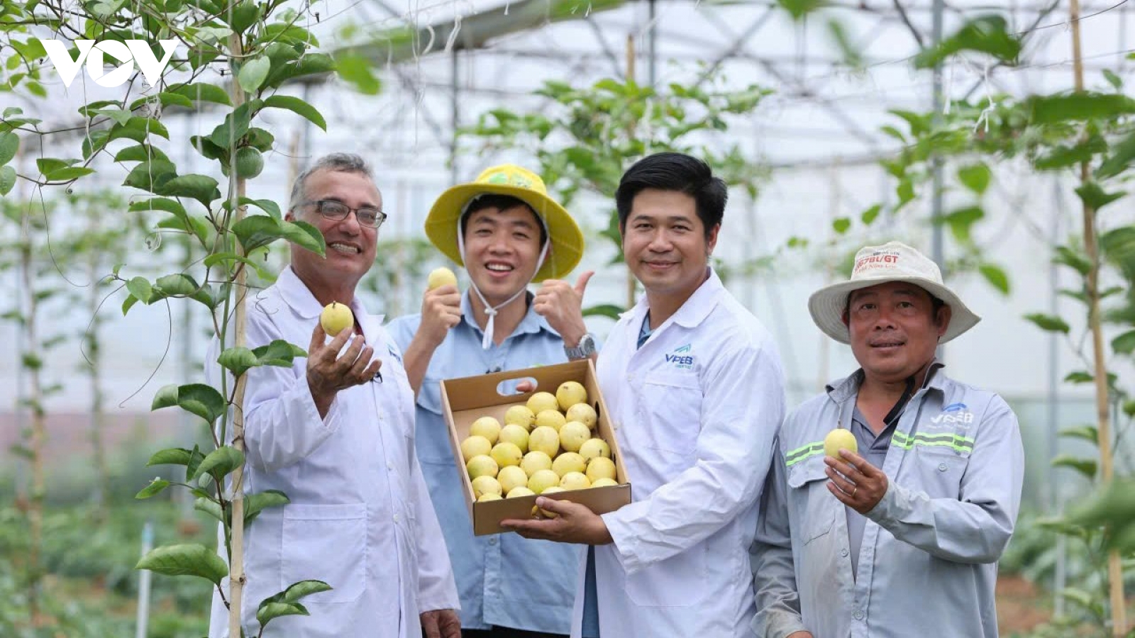 Xoay trục sang thị trường khó tính, nông sản Việt tìm đà tăng giá trị