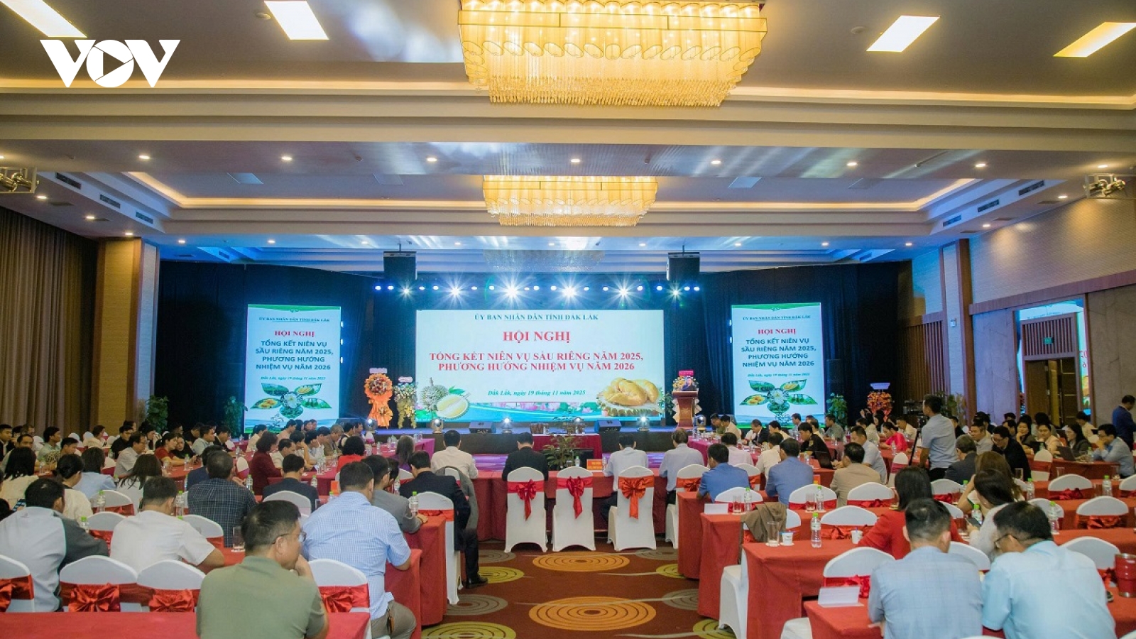 Quản lý mã số vùng trồng - Vấn đề nóng tại hội nghị sầu riêng Đắk Lắk