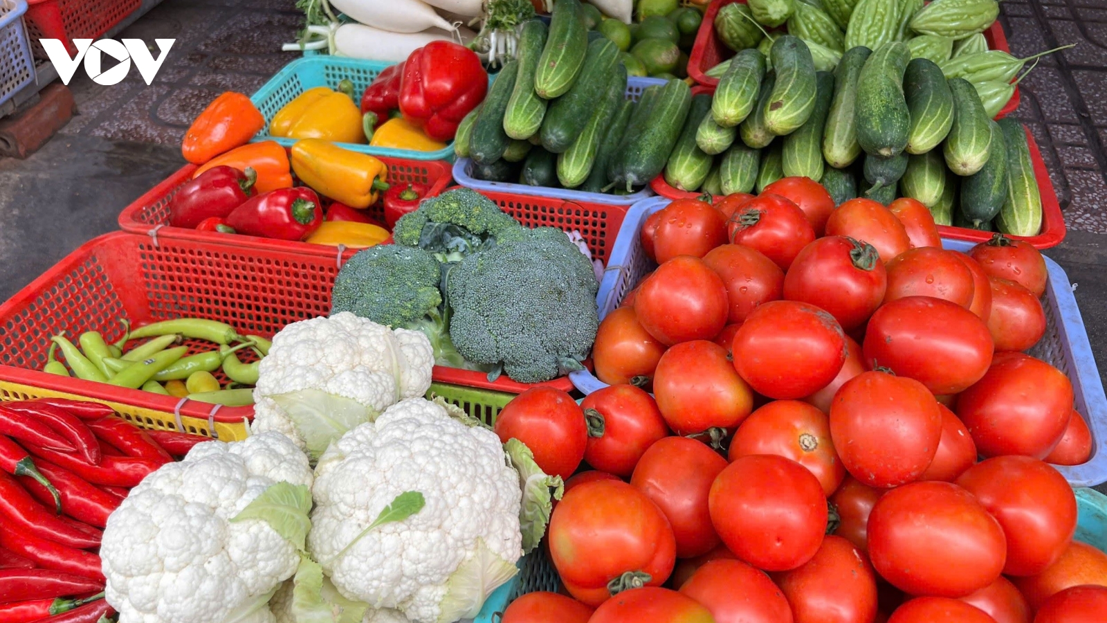 Giá rau củ tăng cao, doanh nghiệp TPHCM nỗ lực ổn định thị trường