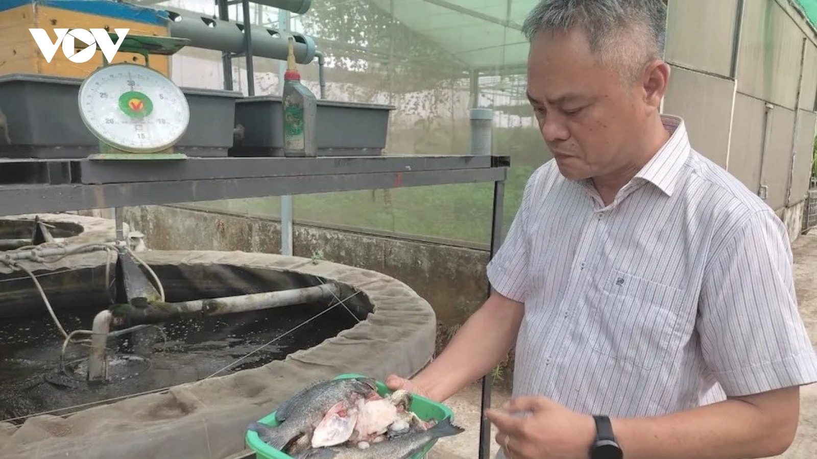 Nông nghiệp công nghệ cao TP.HCM: Nuôi mực trên cạn, gà "miễn dịch'" cúm