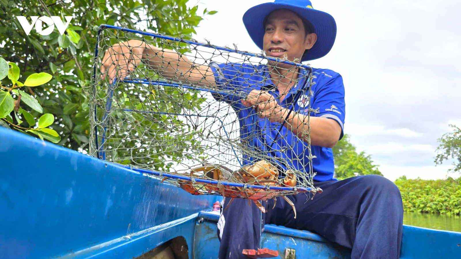 Cà Mau tìm đường để đặc sản cua biển đến thị trường cao cấp
