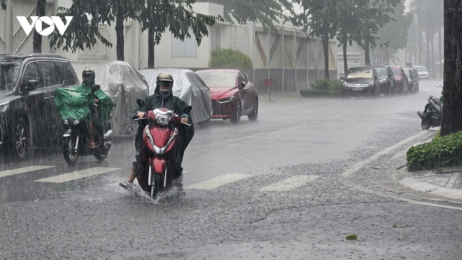 TP.HCM, Đắk Lắk lên phương án ứng phó áp thấp nhiệt đới mạnh lên thành bão
