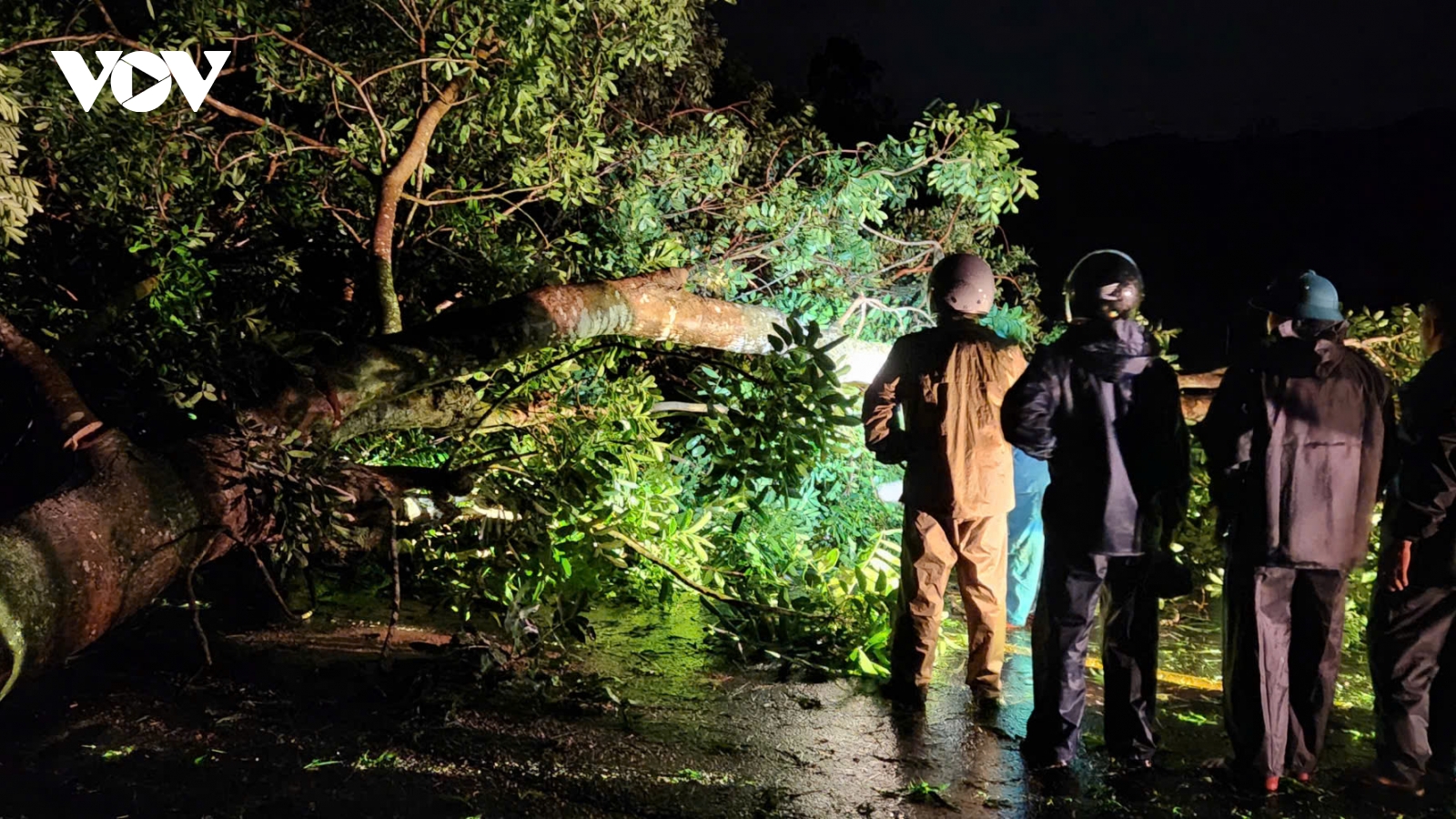 Bão số 13 đổ bộ, cảnh báo khu vực từ Nam Quảng Trị đến Đắk Lắk có mưa rất lớn