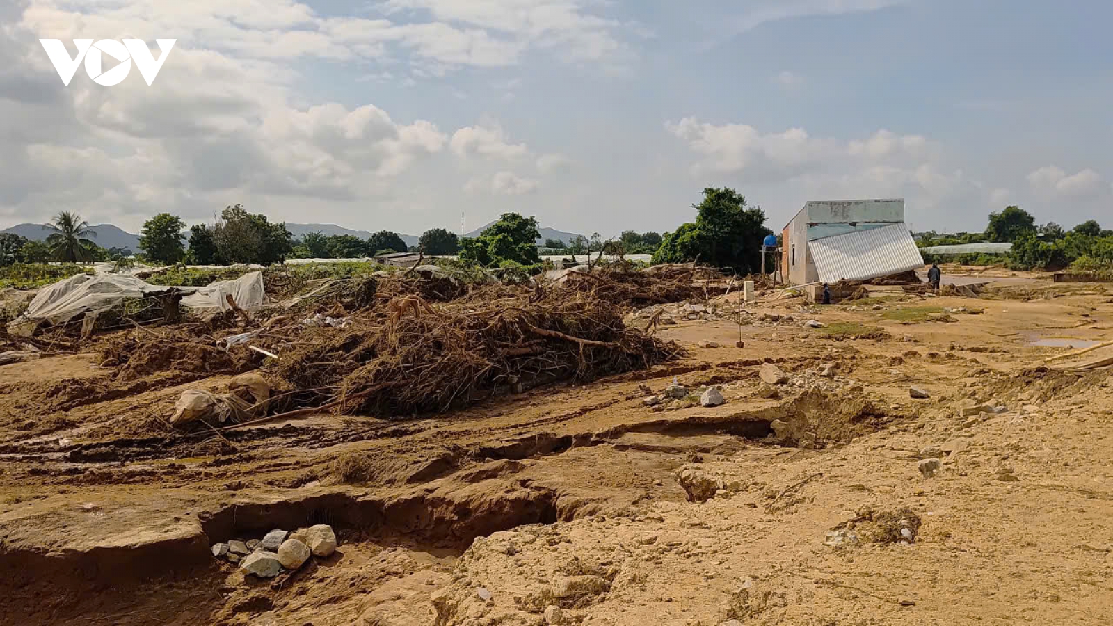 Đề nghị phá bỏ các đập ngăn nước của dự án Trang trại Việt ở Lâm Đồng