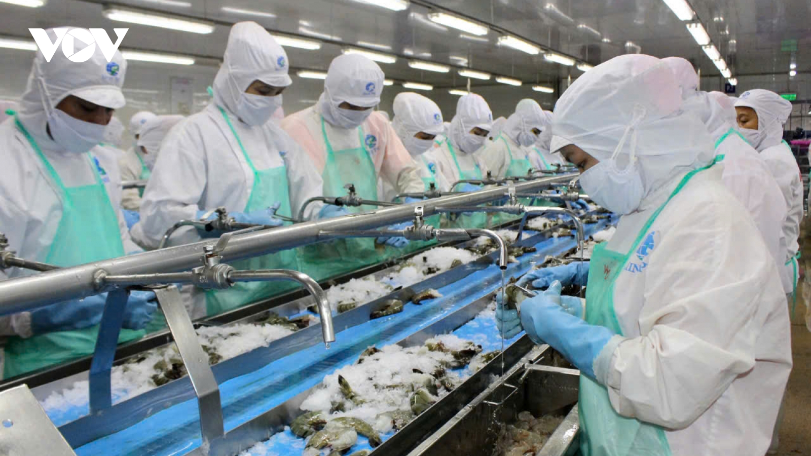 Thách thức “kép” với ngành thủy sản: Ứng phó rủi ro, giữ vững đà tăng trưởng