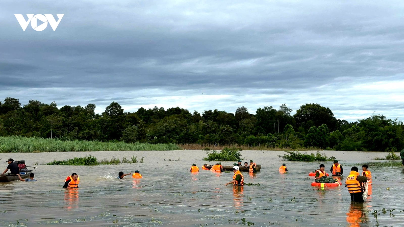 Chiến sĩ công an ngụp lặn hỗ trợ người dân Đắk Lắk thu hoạch nông sản