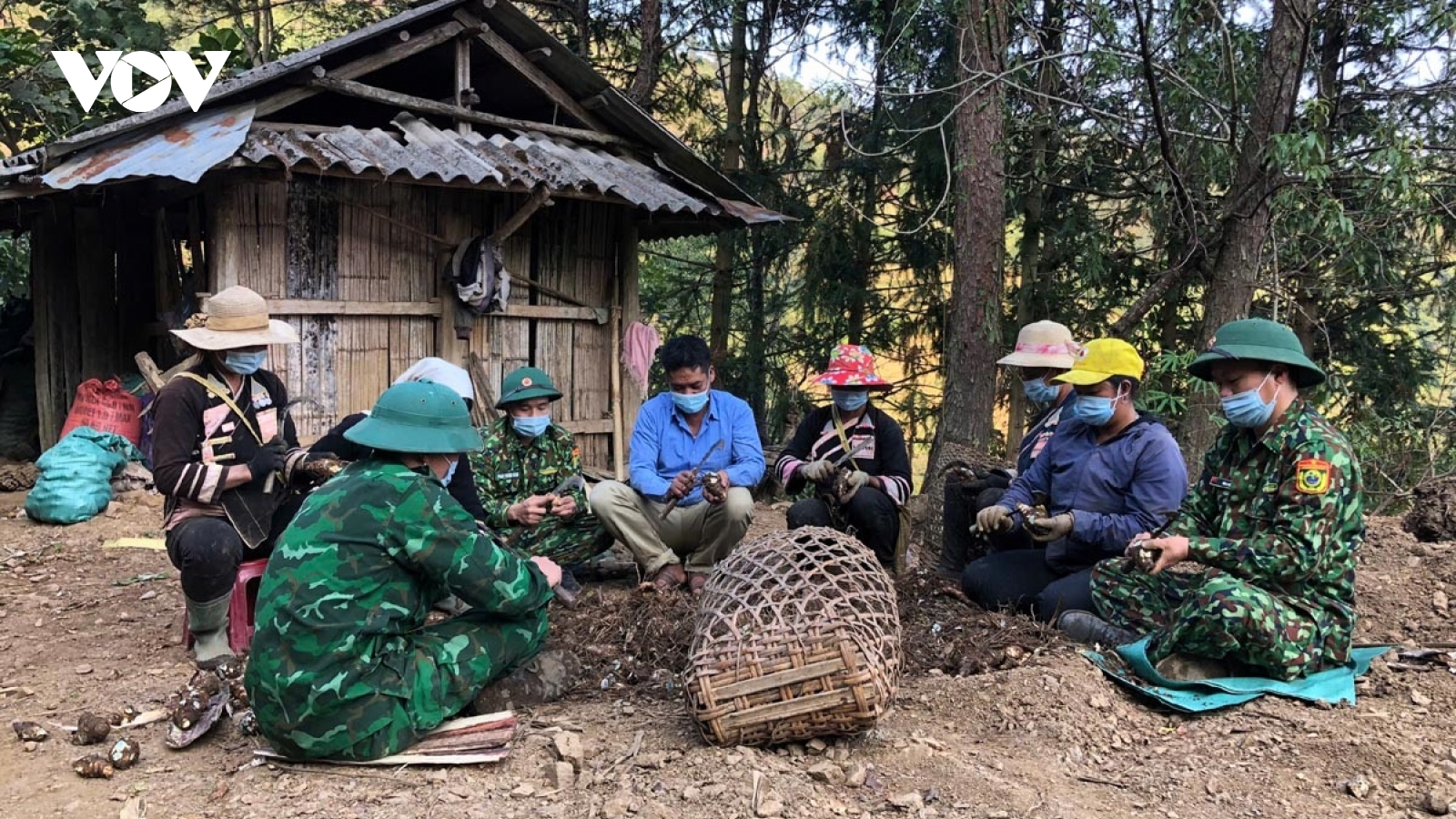 Điểm tựa vững chắc giúp nông dân vùng biên vươn lên thoát nghèo