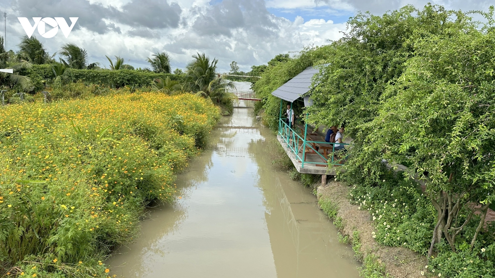 Từ nông nghiệp truyền thống đến nông nghiệp hiện đại, sinh thái