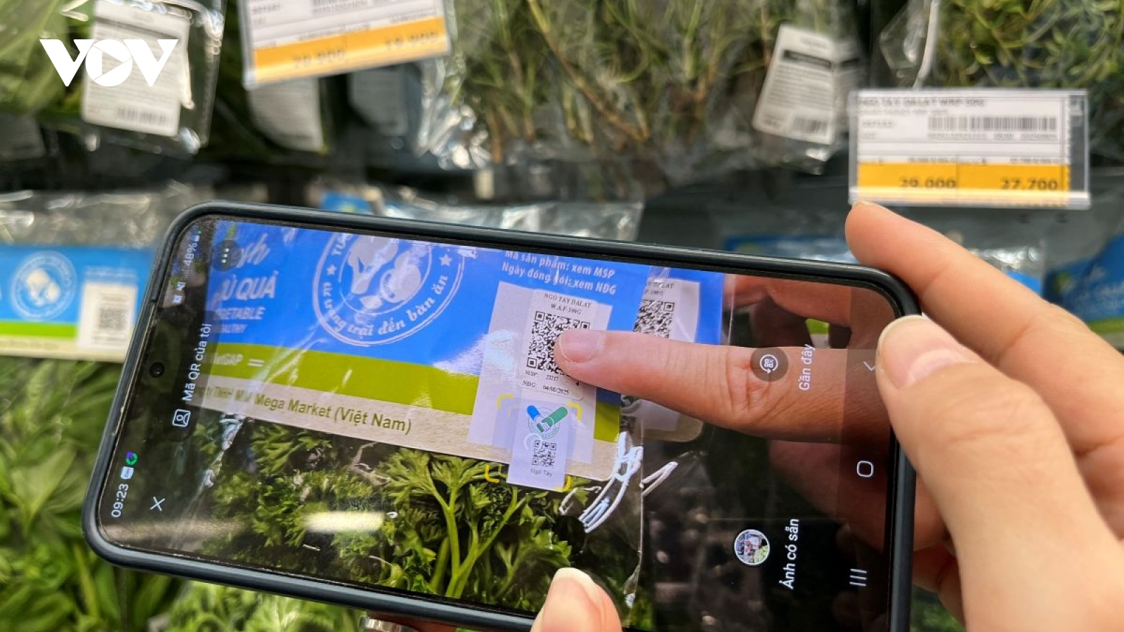 TP.HCM mở rộng nhóm hàng hóa gắn “Tick xanh trách nhiệm”