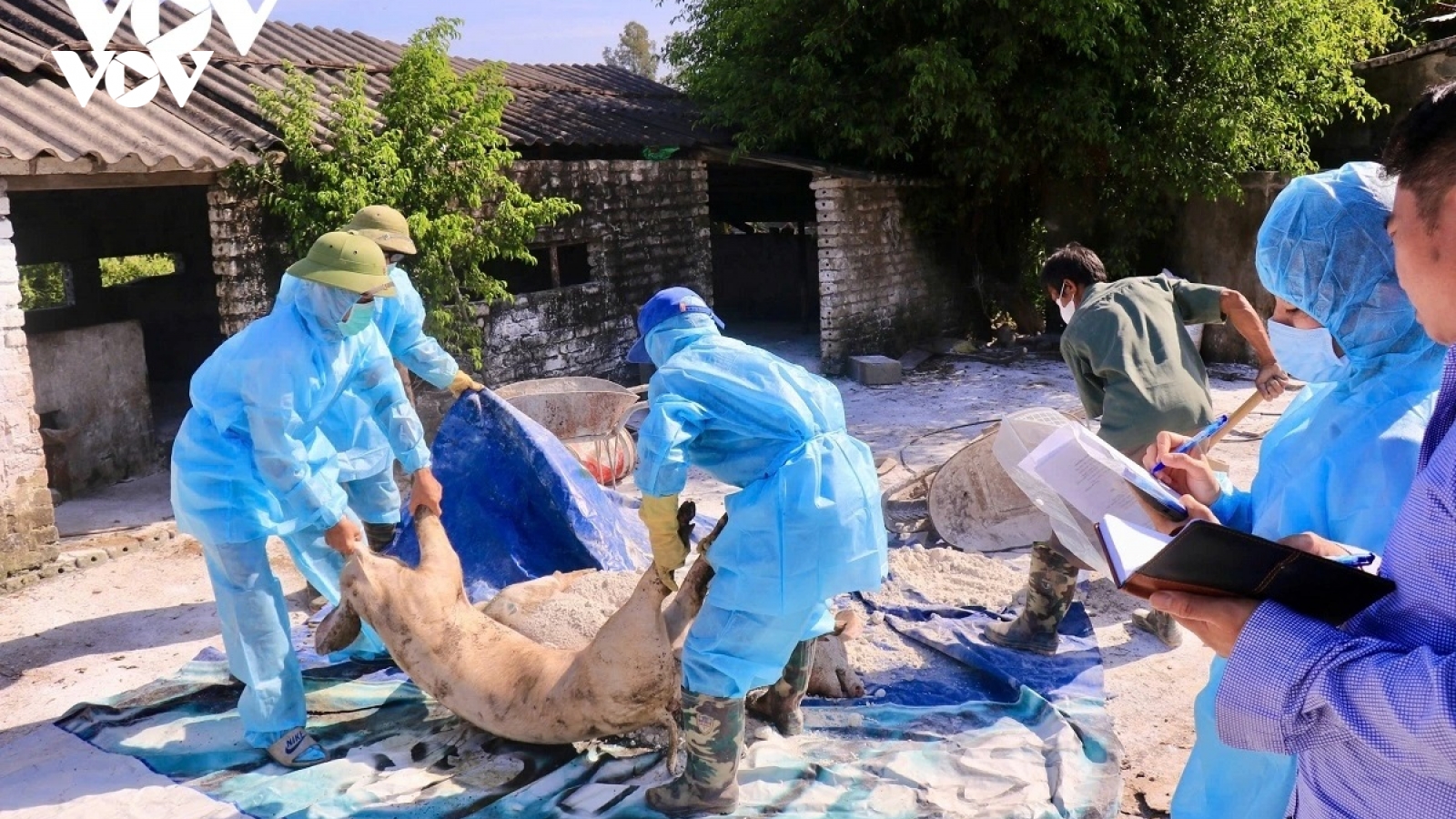 Nỗi lo tái phát dịch bệnh chăn nuôi ở Ninh Bình vụ Đông Xuân