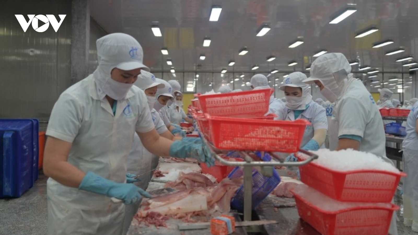 Rising demand boosts potential for Vietnam’s tra fish in Japan