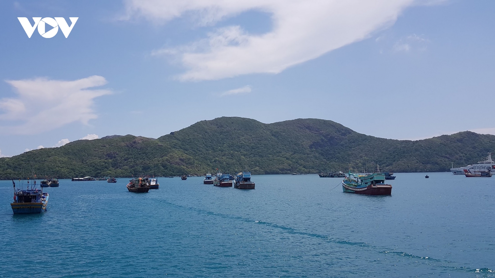 Trước áp lực phòng vệ thương mại, doanh nghiệp thủy sản đi tìm lời giải