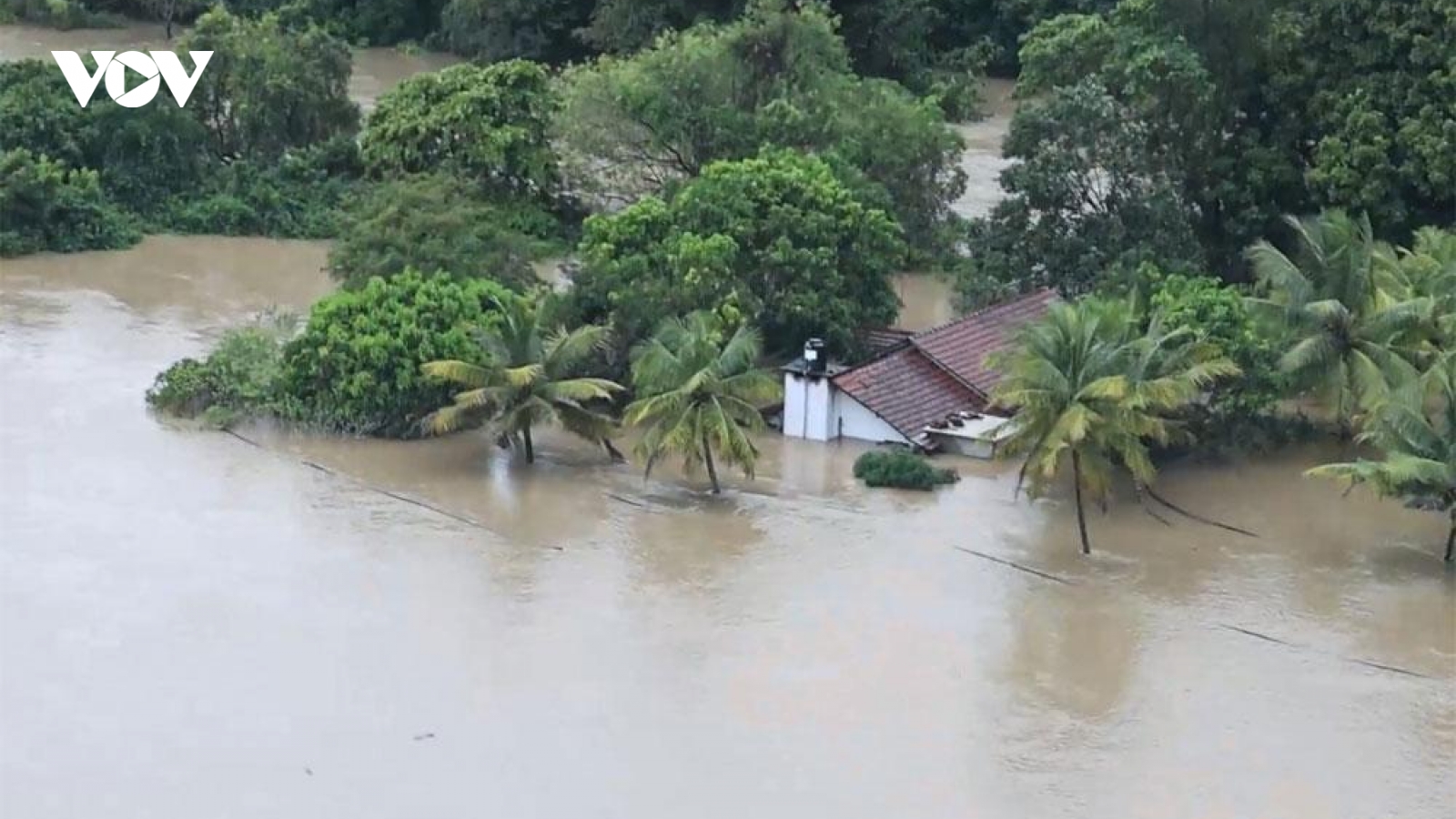 Hơn 100 người chết và mất tích tại Sri Lanka vì bão Ditwah