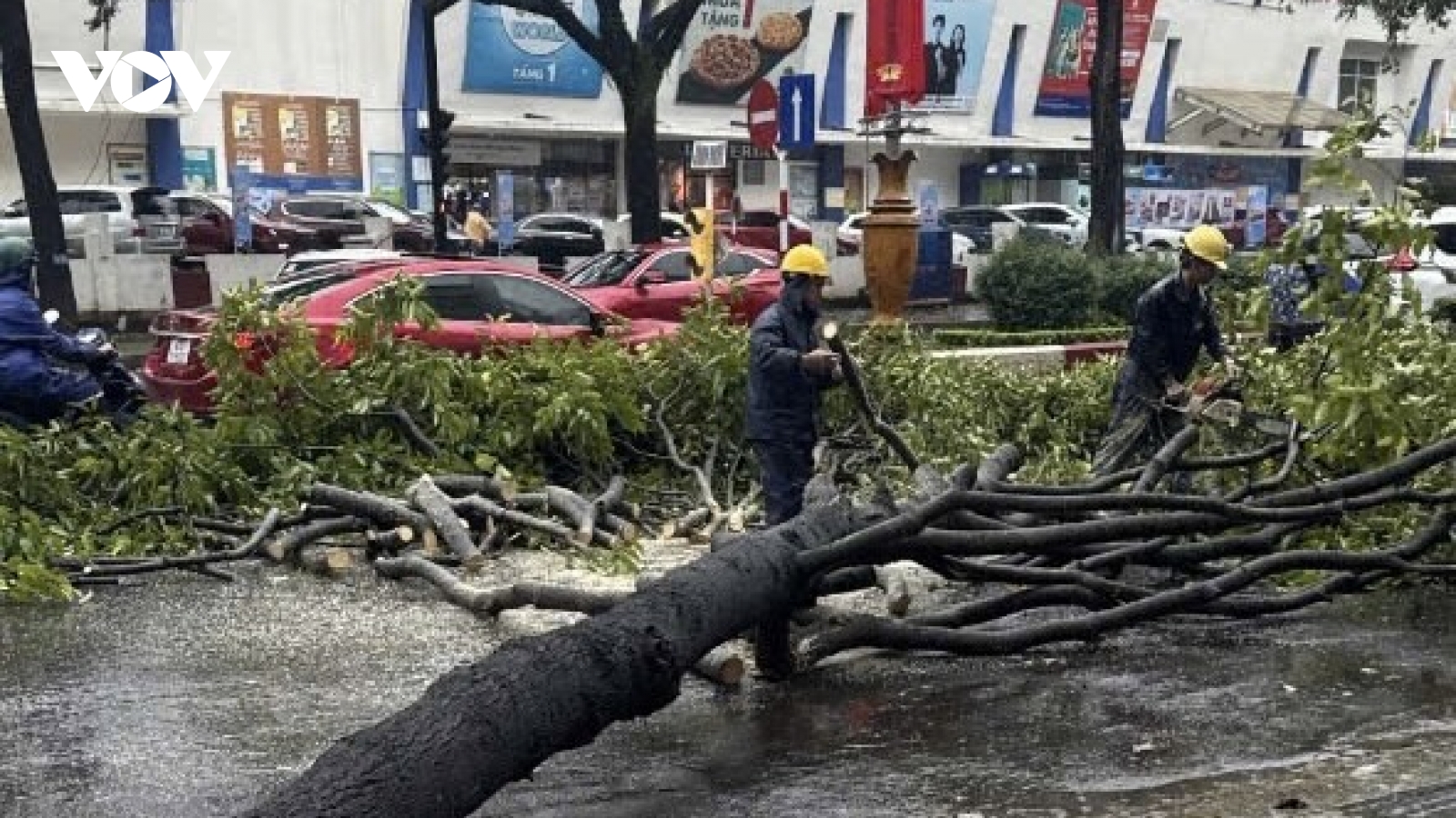 Đắk Lắk căng mình ứng phó bão số 13: Sóng to, gió mạnh, hàng loạt cây xanh ngã đổ