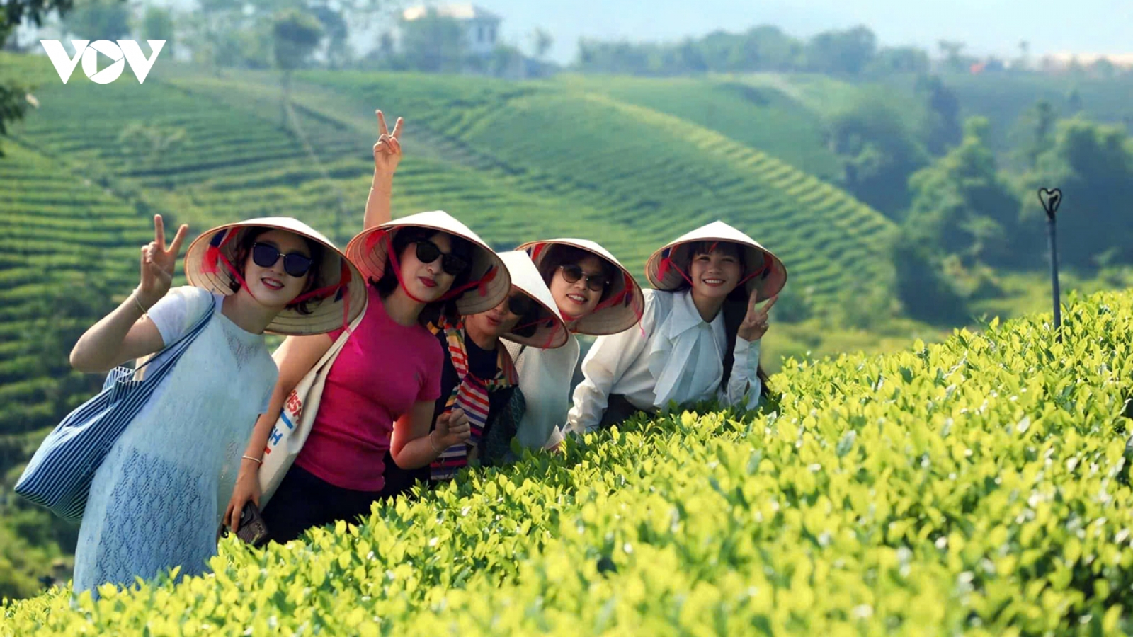 Đầu tư khoa học kỹ thuật, câu chuyện chè Thái Nguyên được kể theo cách riêng