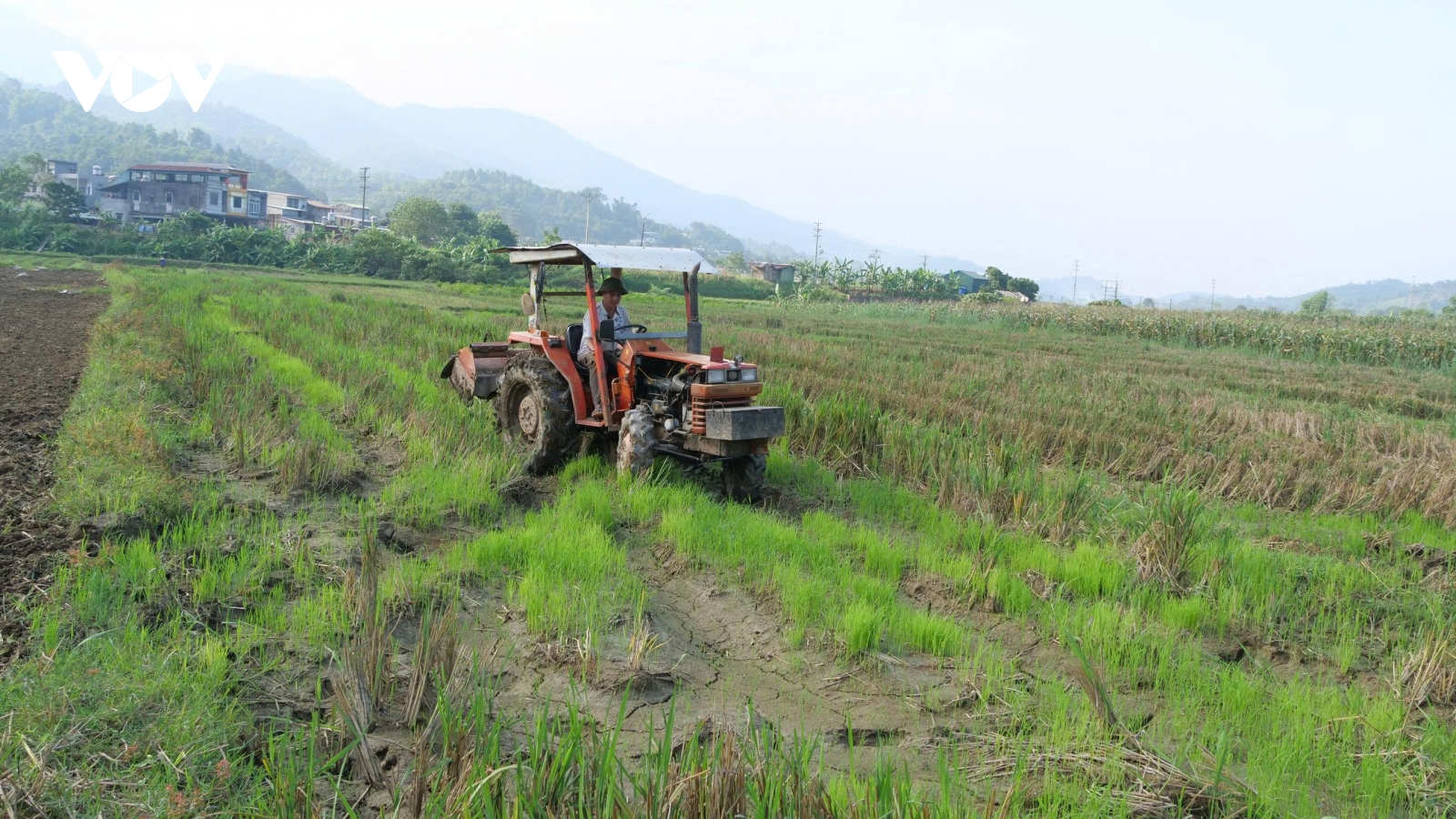 Chuyện những đảng viên tiên phong "không cho đất nghỉ" ở rốn lũ Lào Cai