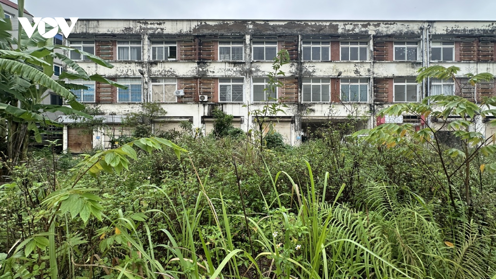 Chợ Mai Lĩnh (Hà Nội) bỏ hoang 11 năm trong khi người dân buôn bán ở nơi tạm bợ