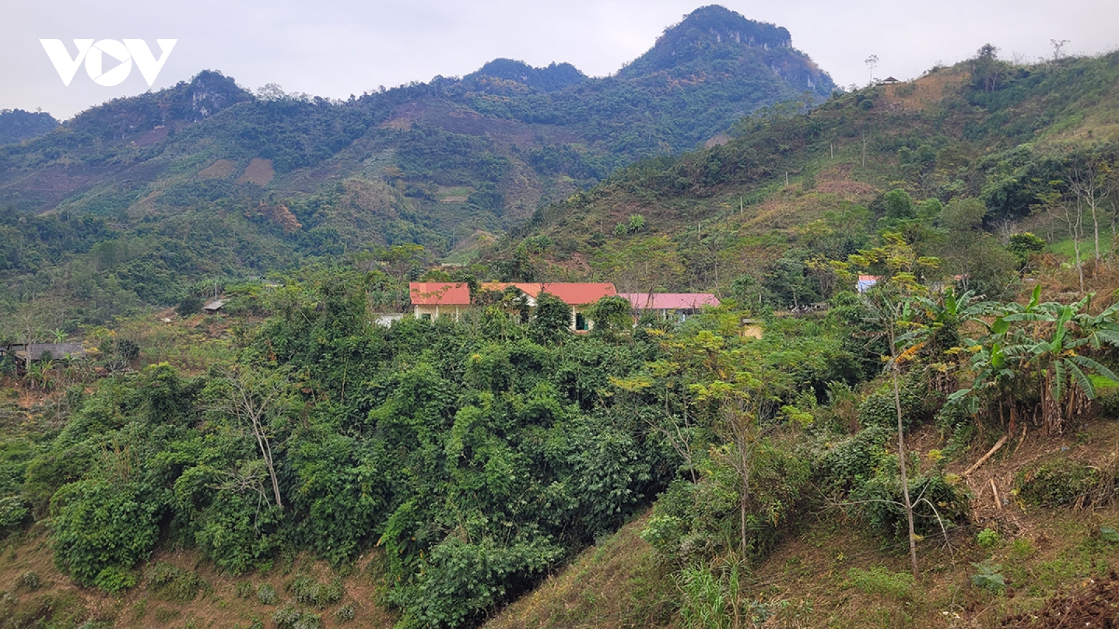 Con chữ theo cô giáo đến với bản Tà Han